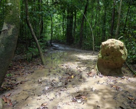 Path to the Mud Volcano