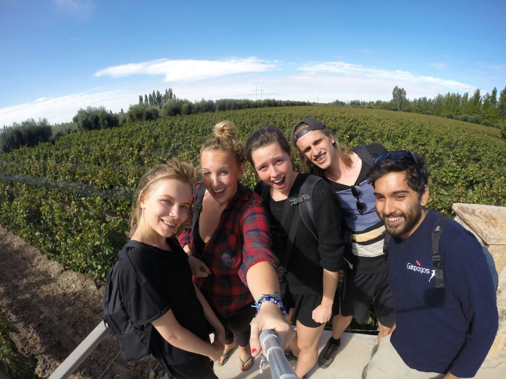 Vineyard Selfie with the Crew